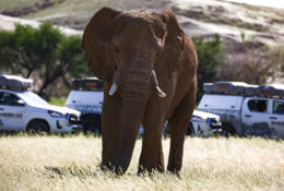 Namibia_April_2025 (20/79)